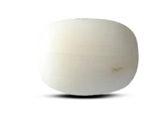 White Coral Stone