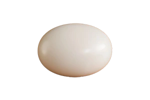 White Coral Stone
