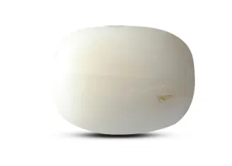 White Coral Stone