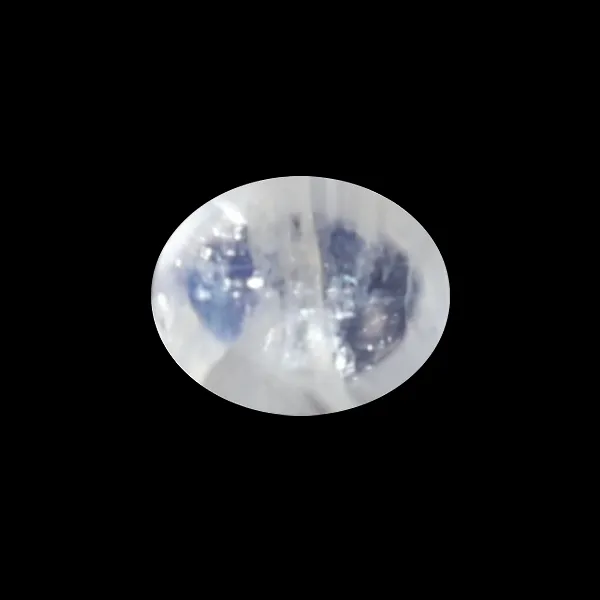 Blue Moonstone - 1.55 Carats