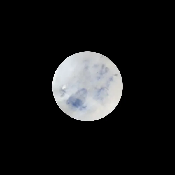 Blue Moonstone - 1.89 Carats