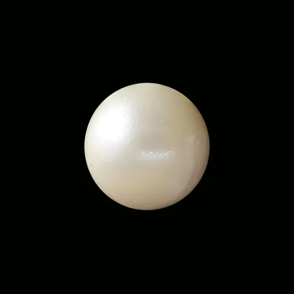 South Sea Pearl - 13.82 carats