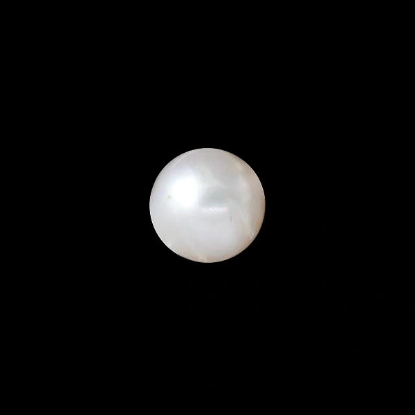 South Sea Pearl - 6.30 carats