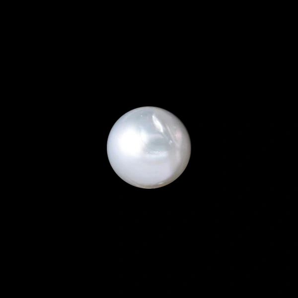 South Sea Pearl - 6.55 carats