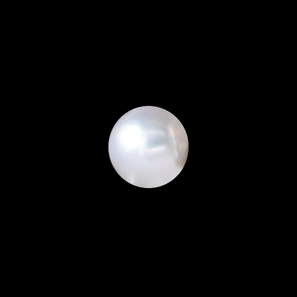 South Sea Pearl - 6.62 carats