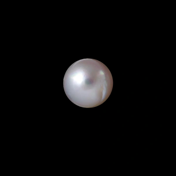 South Sea Pearl - 6.72 carats