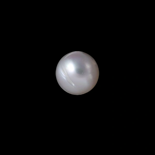 South Sea Pearl - 7.18 carats