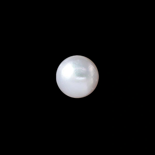 South Sea Pearl - 7.26 carats