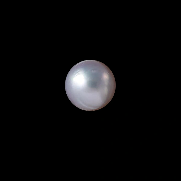 South Sea Pearl - 7.38 carats