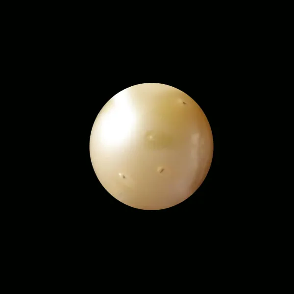 South Sea Pearl - 7.55 carats