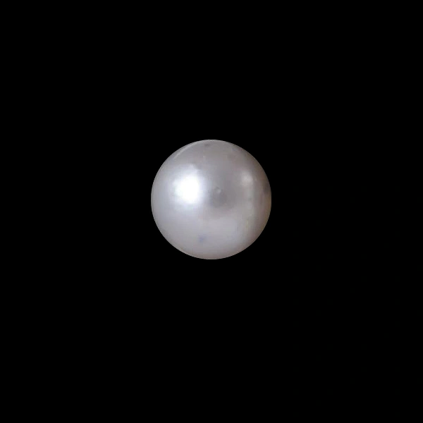 South Sea Pearl - 7.64 carats