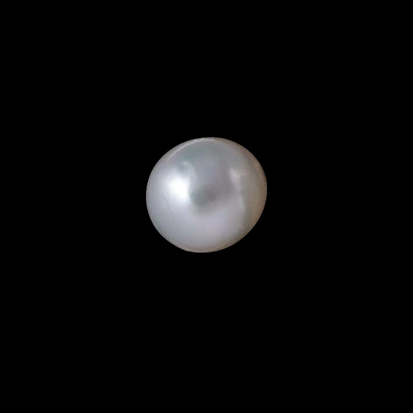 South Sea Pearl - 7.85 carats