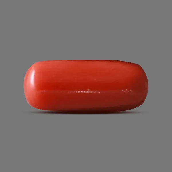 Red Coral - 5.33 carats