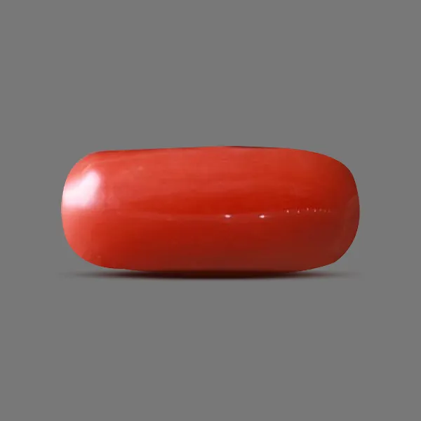 Red Coral - 5.33 carats