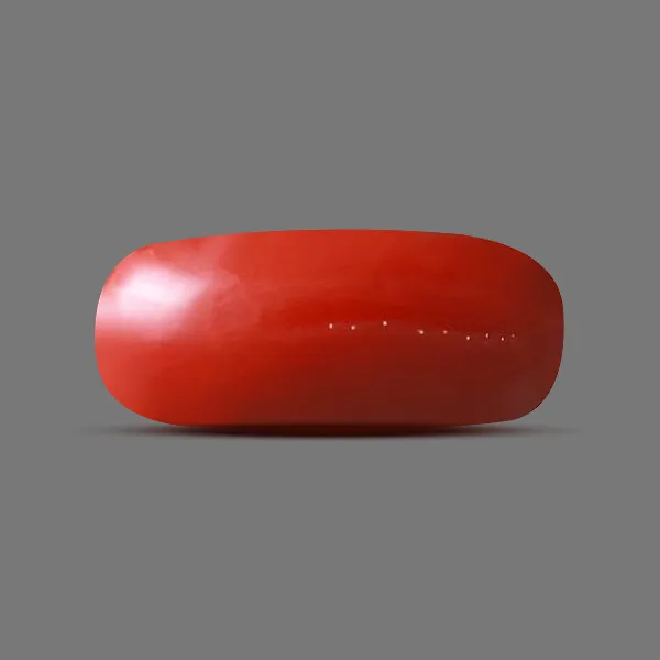 Red Coral - 5.68 carats