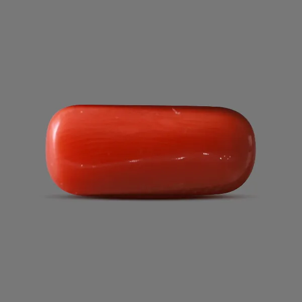 Red Coral - 6.00 carats