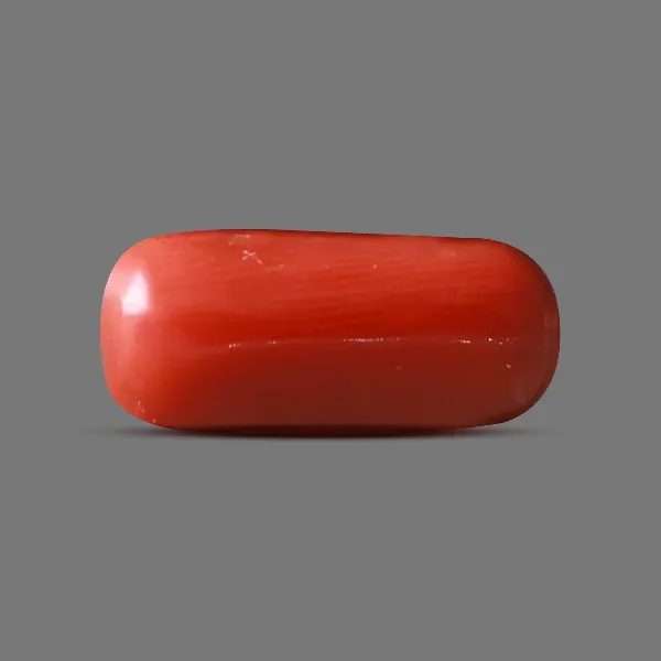 Red Coral - 6.00 carats