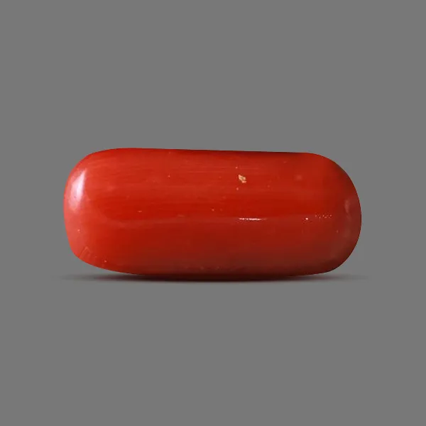 Red Coral - 6.19 carats