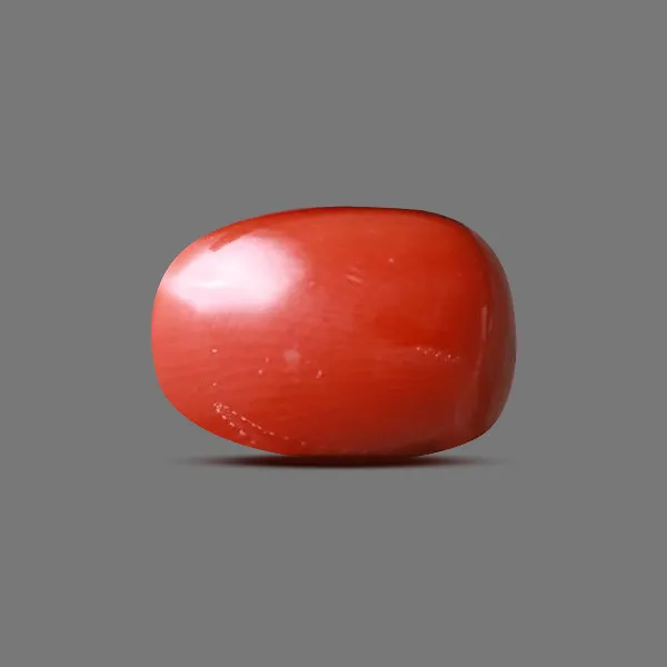 Red Coral - 6.54 carats
