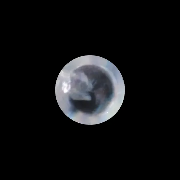 Rainbow Moonstone - 0.80 Carats
