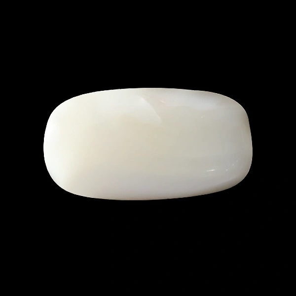 White Coral - 3.73 carats