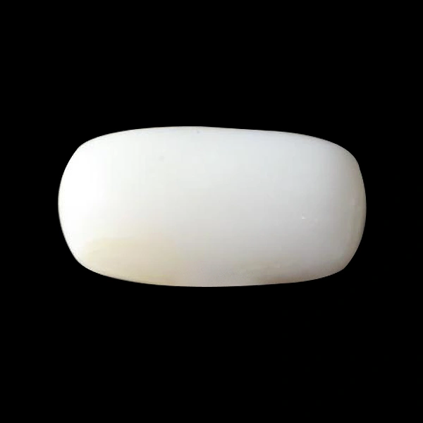 White Coral - 3.73 carats