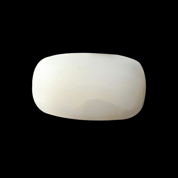 White Coral - 3.78 carats