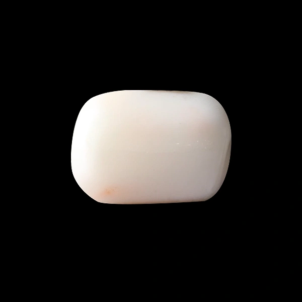 White Coral - 3.96 carats