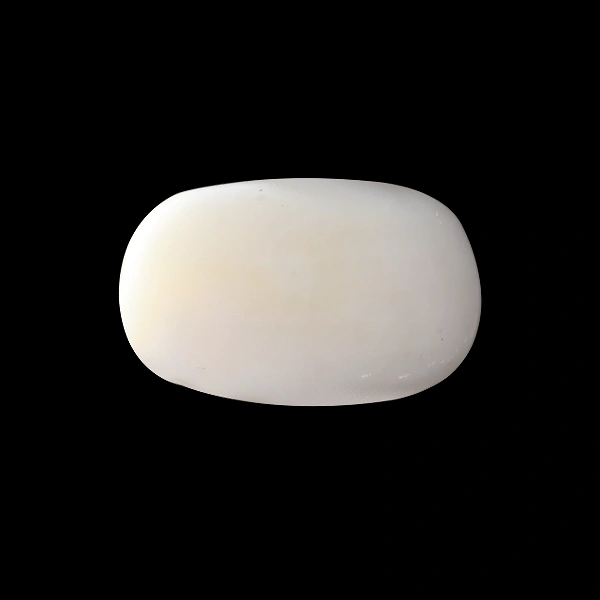 White Coral - 4.20 carats