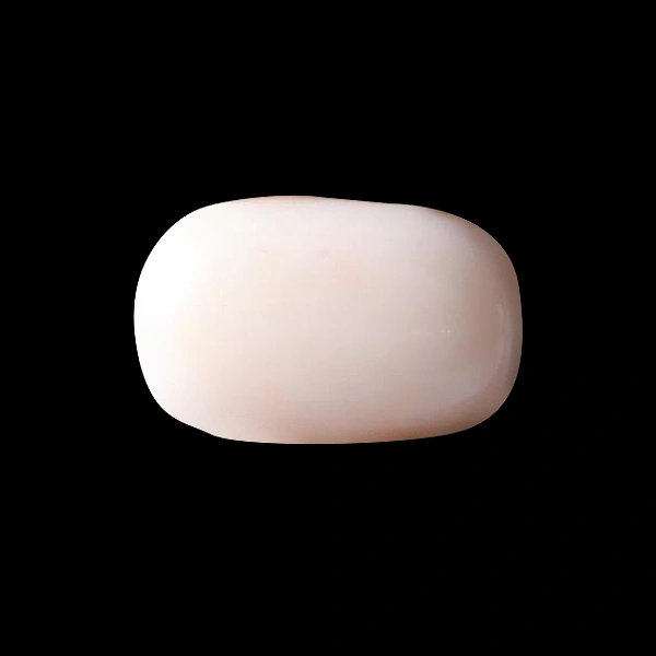 White Coral - 4.38 carats
