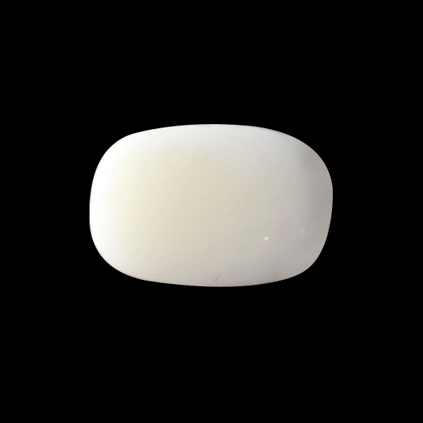 White Coral - 4.75 carats