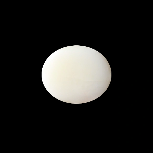 White Coral - 5.04 carats
