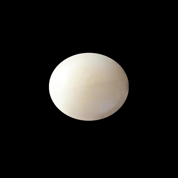 White Coral - 5.04 carats