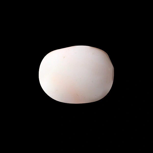 White Coral - 5.93 carats
