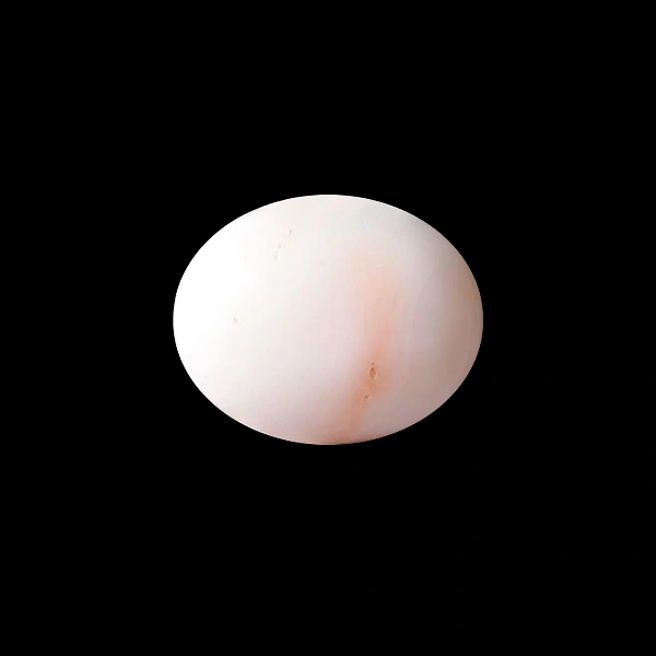 White Coral - 5.93 carats