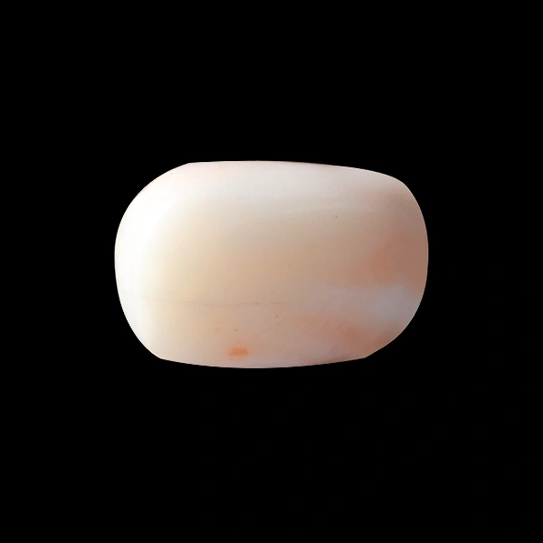 White Coral - 6.68 carats