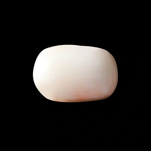 White Coral - 6.68 carats