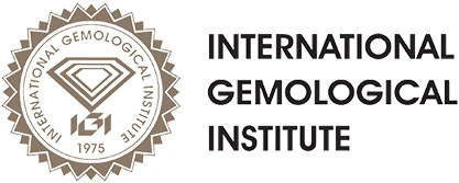 IGI LOGO