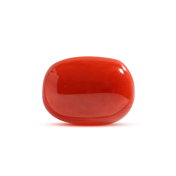 Red Coral - 10.5 carats