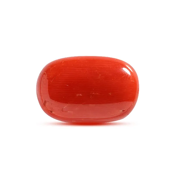 Red Coral - 10.68 carats