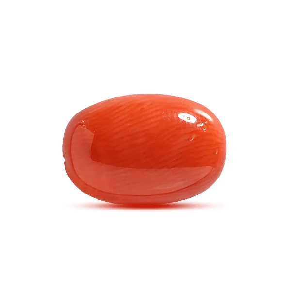 Red Coral - 6.61 carats