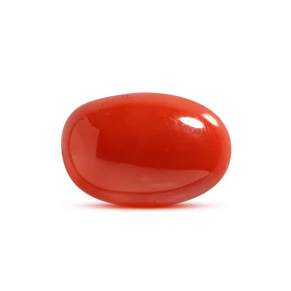 Red Coral - 6.65 carats