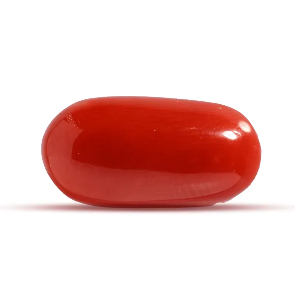 Red Coral - 6.88 carats