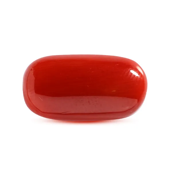 Red Coral - 7.22 carats