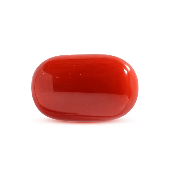 Red Coral - 7.26 carats