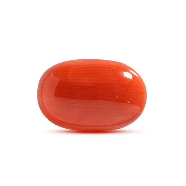 Red Coral - 7.91 carats