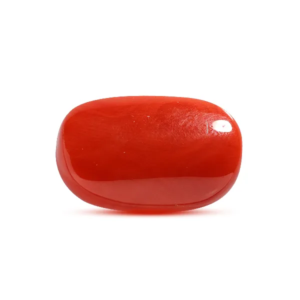 Red Coral - 8.2 carats