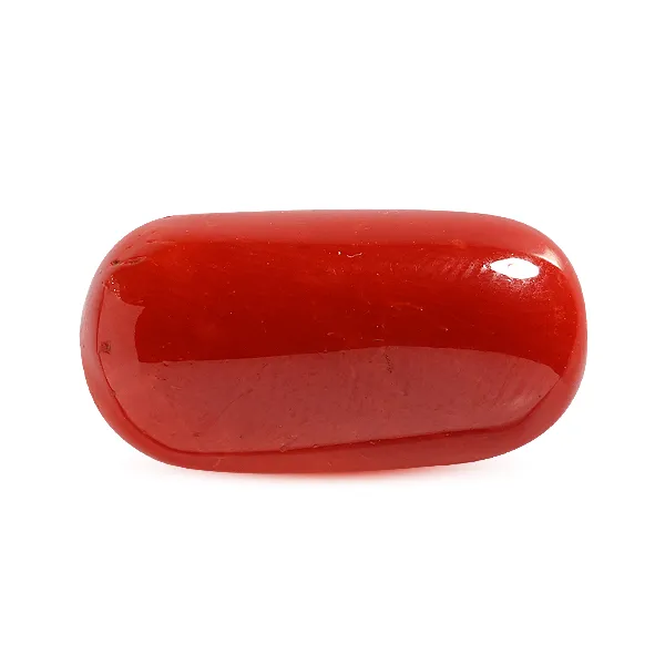 Red Coral - 8.27 carats