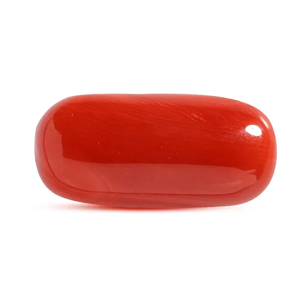 Red Coral - 8.34 carats