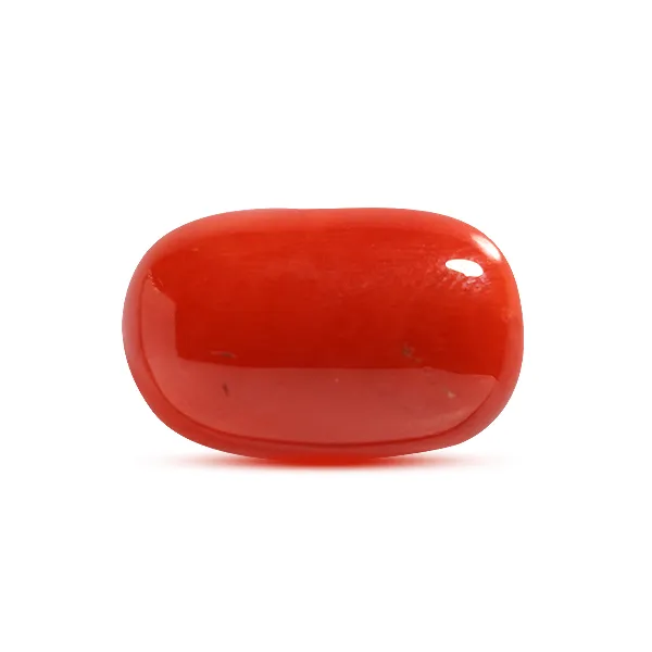 Red Coral - 8.54 carats